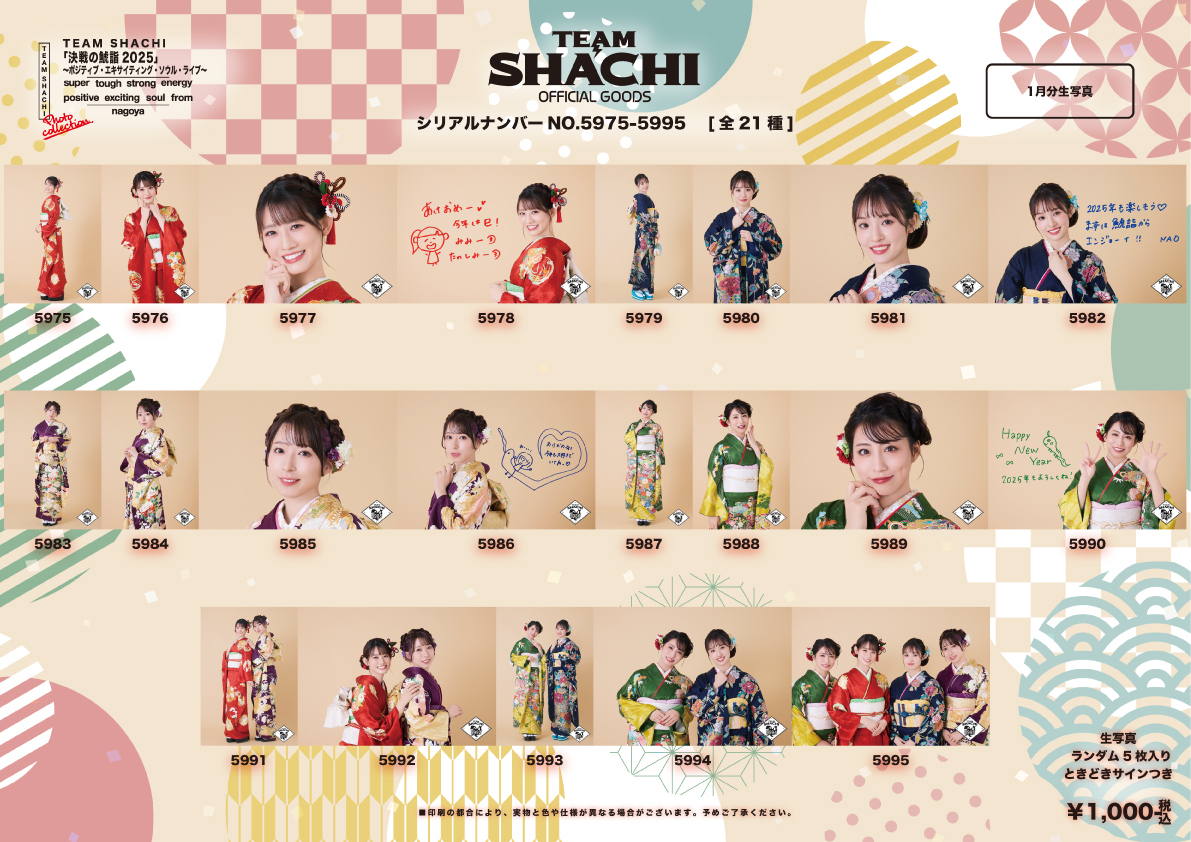 決戦の鯱詣2025 最速生写真」受注販売開始！ | TEAM SHACHI