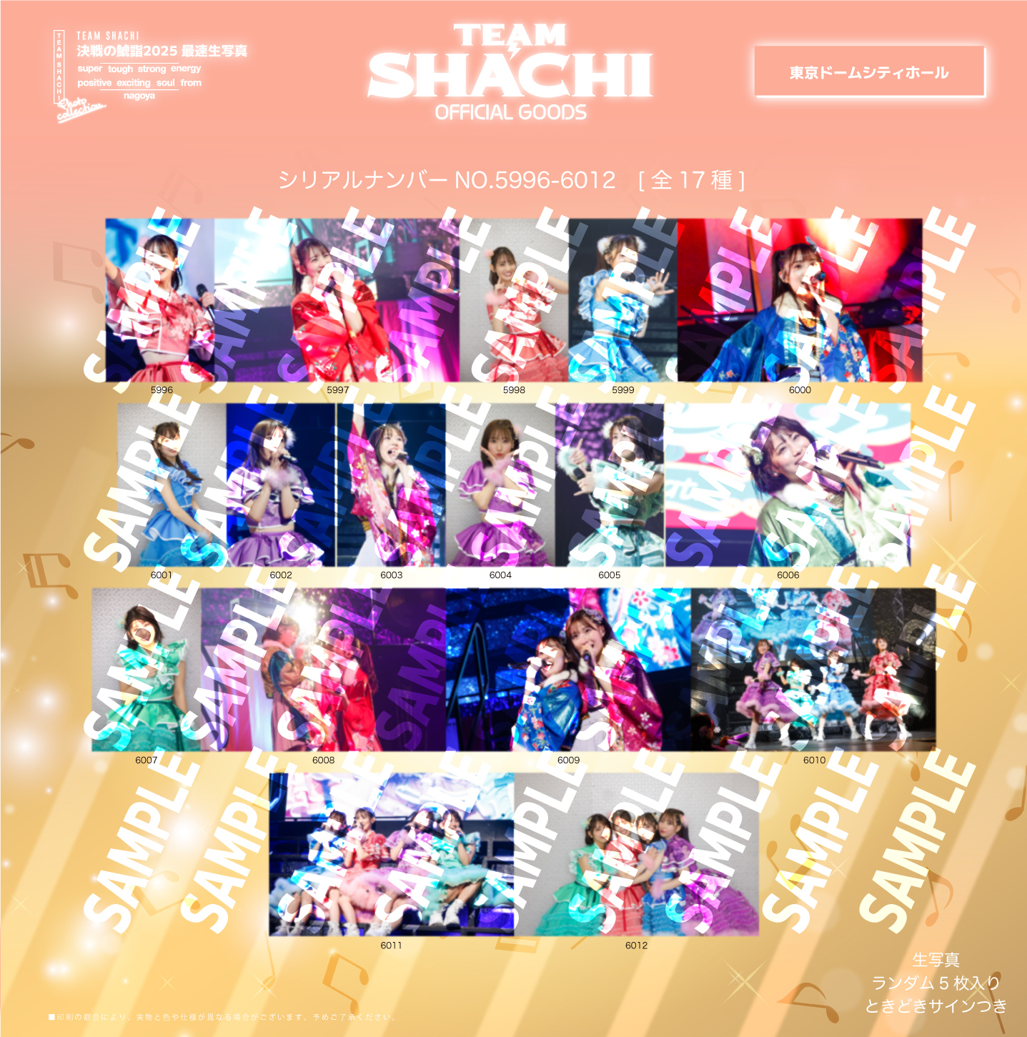 決戦の鯱詣2025 最速生写真」受注販売開始！ | TEAM SHACHI