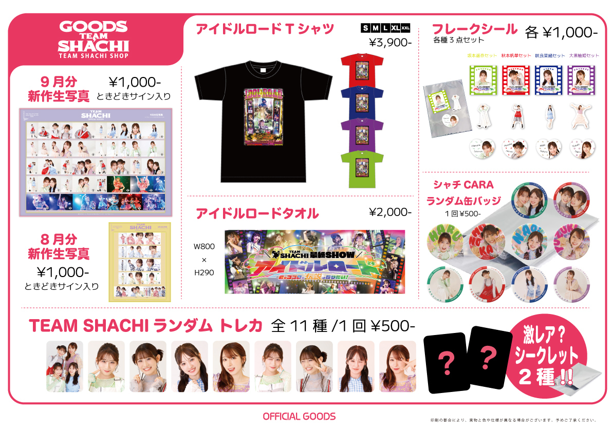 TEAM SHACHI （チームしゃちほこ）グッズ① TEAM SHACHI SHOP