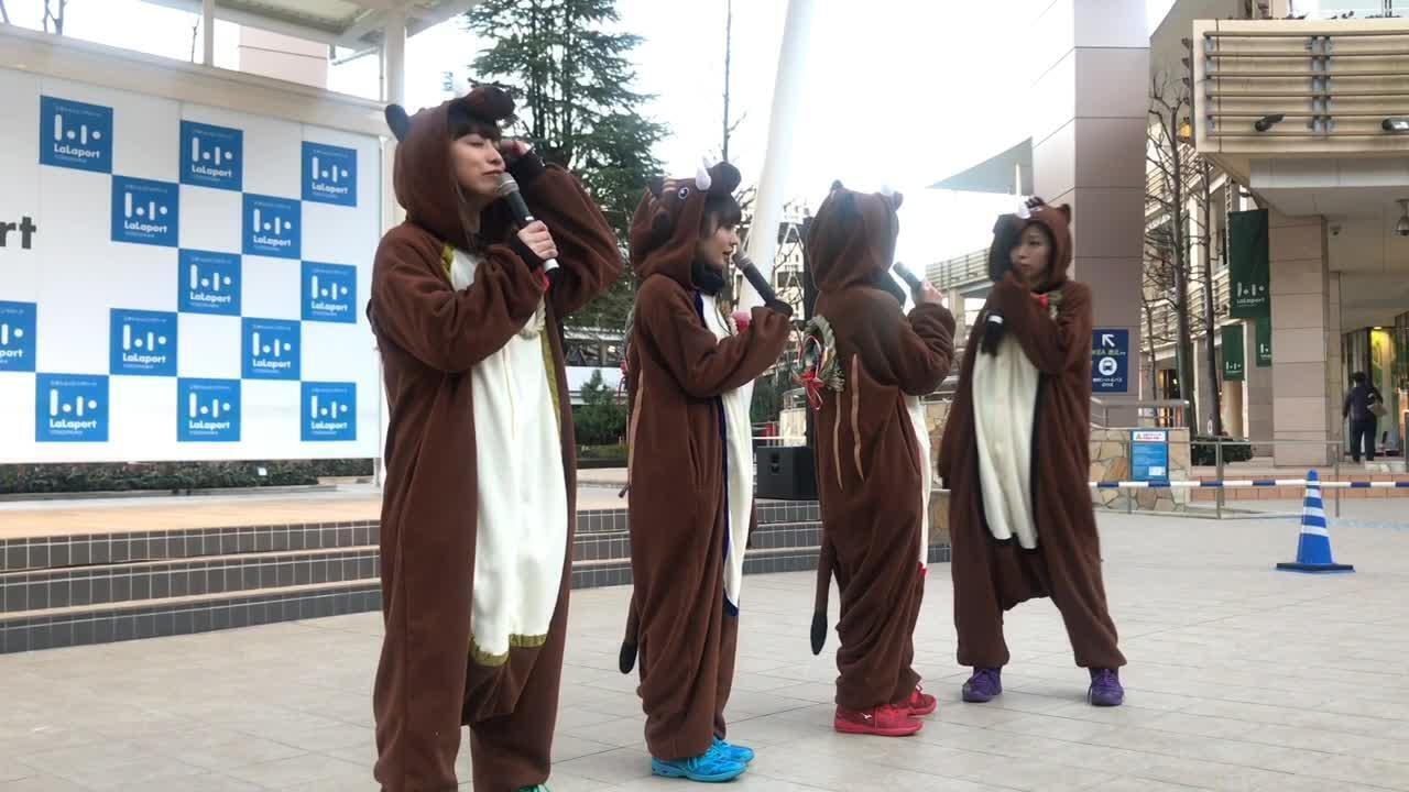 TEAM SHACHIを知ろう at ららぽーと横浜